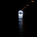 Will Hadden Photo 2