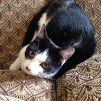 Mary Sander Photo 17