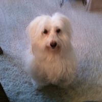 Marianne Chaney Photo 3