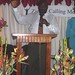 Stephen Vernon Photo 20