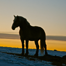 Emily Hackett Photo 26