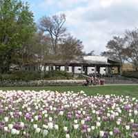 Angela Hankins Photo 4