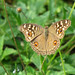 Lynn Mead Photo 27