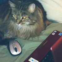 Elizabeth Frye Photo 8