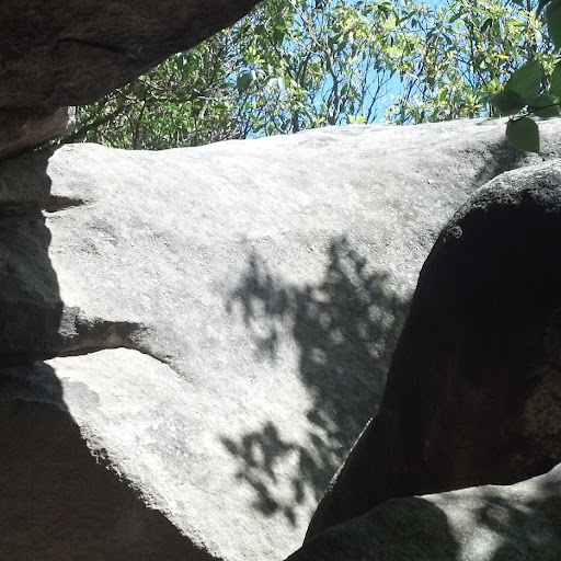 Bryant Gray Photo 16