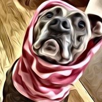 Samantha Radford Photo 8