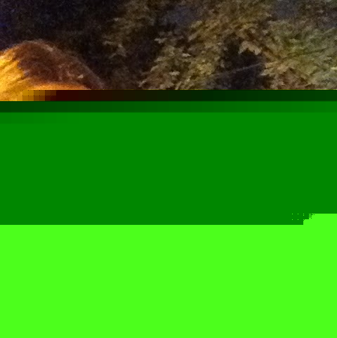 Holly Myers Photo 29