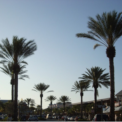 Robin Stout Photo 25