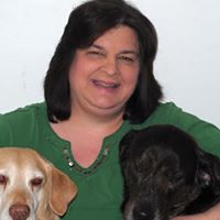 Dawn Harman Photo 15