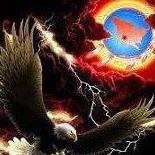 Shelly English Photo 16