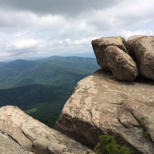 Carol Moran Photo 15