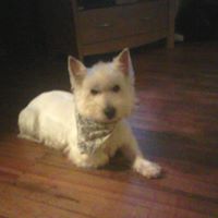 Jacqueline Whitney Photo 6