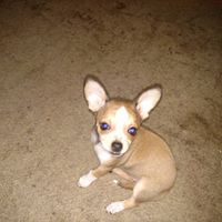 Debbie Ledbetter Photo 26