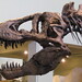 Rex Hunter Photo 38