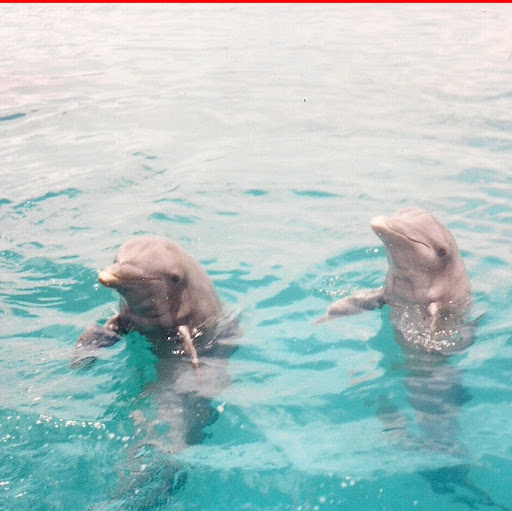 Randy Everett Photo 39