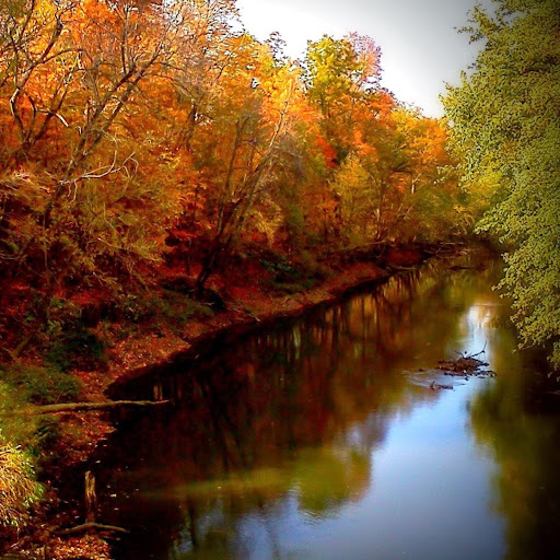 Randy Risner Photo 4