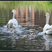 Geraldine Swan Photo 11