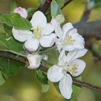 Christy Austin Photo 44