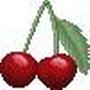 Merry Cherry Photo 16