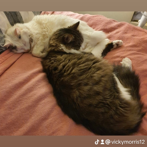 Vicky Morris Photo 6