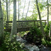 Maria Creek Photo 3