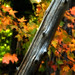 Sandy Weathers Photo 5