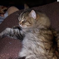 Laurie Baldwin Photo 39