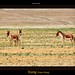 Sandy Keener Photo 25