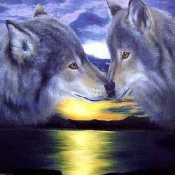 Cindy Barton Photo 20