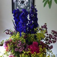 Georgia Johnson Photo 14 Georgia Johnson Photo 14