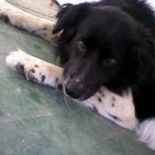 Jackie Wolfe Photo 36