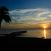 Debra Soles Photo 16