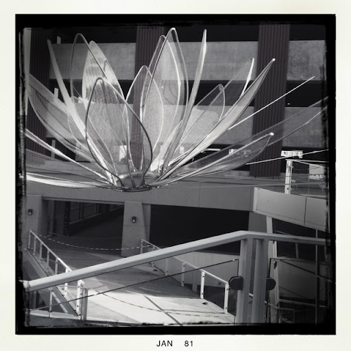 Andrea Wong Photo 10