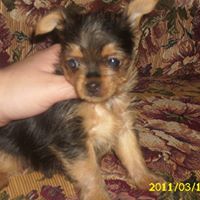 Sharon Kilgore Photo 22