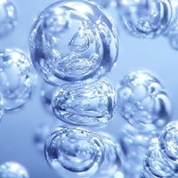 Cindy Parton Photo 5