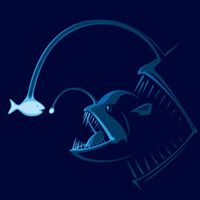 Nicolas Romain Photo 12