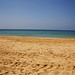 Sandy Weathers Photo 7