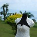 Robert Apolinario Photo 19