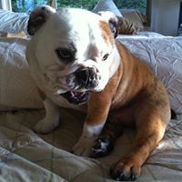 Paula Foltz Photo 12