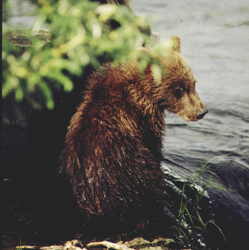 William Rhoades Photo 14