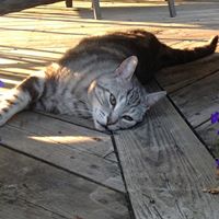 Elizabeth Mccurdy Photo 23