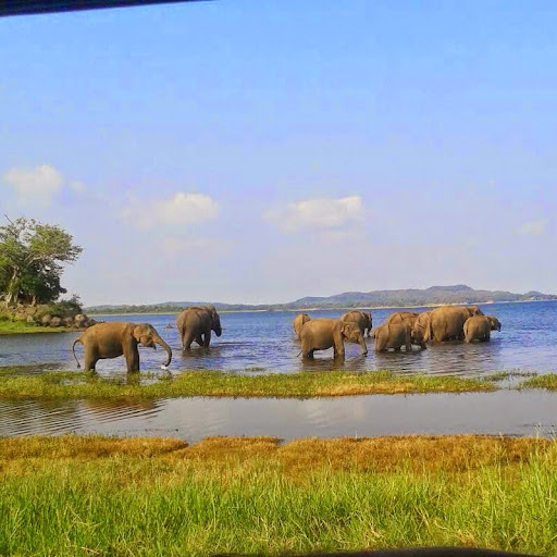 Dennis Lowe Photo 22