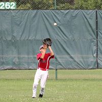 Gregory Mills Photo 21