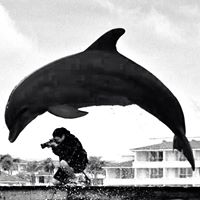 Steven Escobar Photo 36