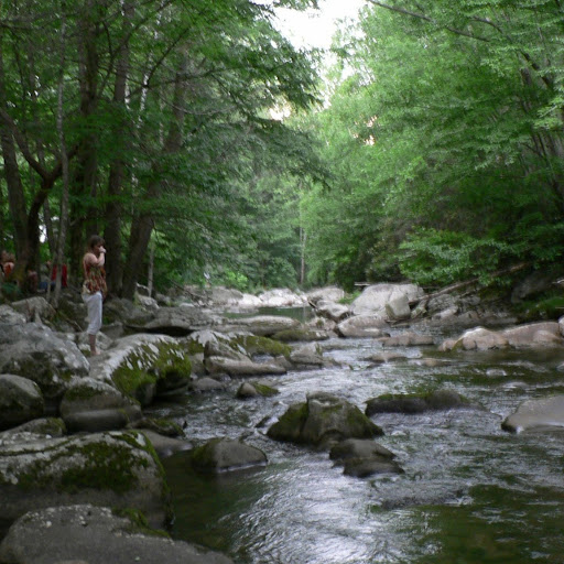 Karen Coburn Photo 33