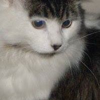 Anne Stewart Photo 20