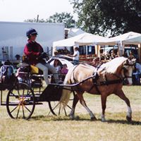 Helen Stratton Photo 4