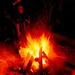 Todd Hanson Photo 15