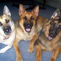 Laura Stecher Photo 10