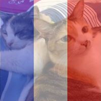 Julie Bonner Photo 14